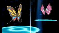 ORAS_Oct162014_272.jpg