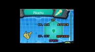 ORAS_Oct162014_310.jpg