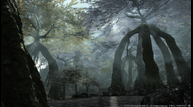 FFH_Oct202014_25.png