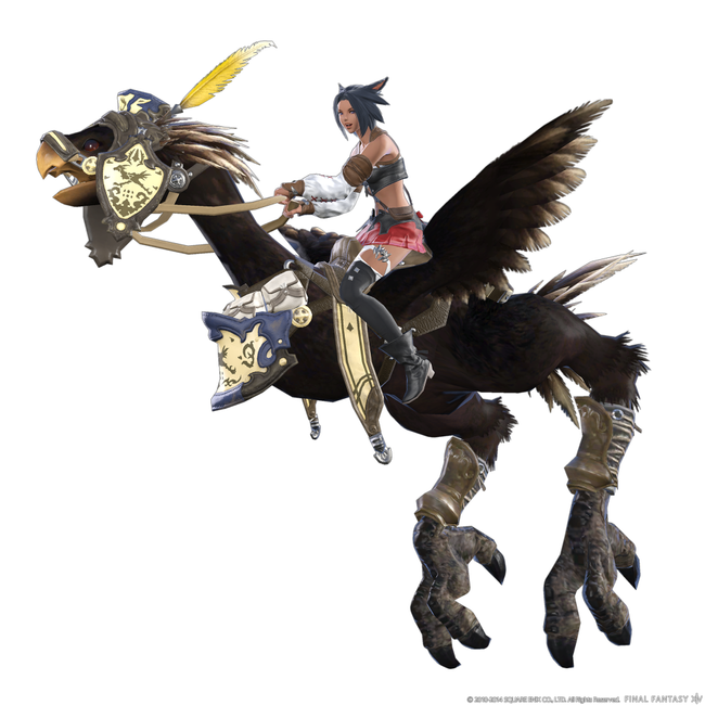 FFH_Oct282014_A01.png