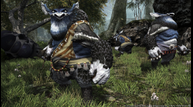 FFH_Oct282014_09.png