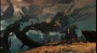 GW2HoT_Jan242015_05.jpg