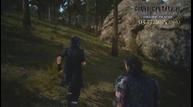 ff15_tztrail_05.jpg
