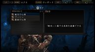 SSC_30.jpg