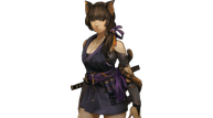 SSC_A49.png