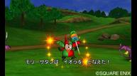 DQVIII_3DS_Jul012015_20.jpg