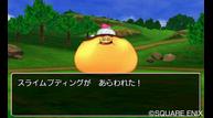DQVIII_3DS_Jul012015_21.jpg