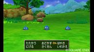 DQVIII_3DS_Jul012015_22.jpg