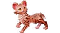 ynnk_72715_023.png