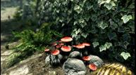 skyrim_special_edition_screen_5.jpg