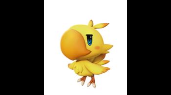 WOFF_Boko.jpg