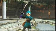 DQH2_PreOrder12.jpg