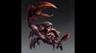 T2_Hermitclaw.jpg