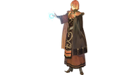 FEE_Luthier.png