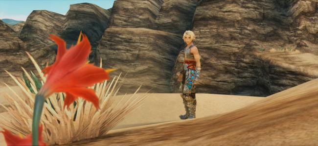 FFXIITZA_Apr162017_17.jpg