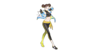 DSCHM_Fei.png