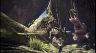 MHW_Jun122017_05.jpg