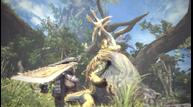 MHW_Jun122017_07.jpg