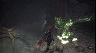 MHW_Jun122017_09.jpg