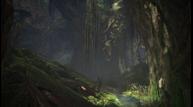 MHW_Jun122017_10.jpg