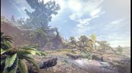 Ancient_Forest.jpg