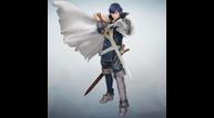 FEW_Chrom.jpg