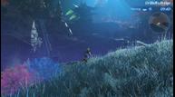 XC2_Jun132017_03.jpg