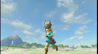 TLoZBotW_DLC_E3_Jun132017_12.jpg