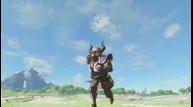 TLoZBotW_DLC_E3_Jun132017_13.jpg