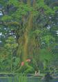 Secret of Mana (2018) boxart