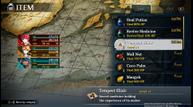 Ys-VIII-PS4DLC_05.jpg