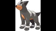 Pokemon-Ultra-Sun-Moon_Houndour.jpg