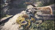 MH_B_5.jpg