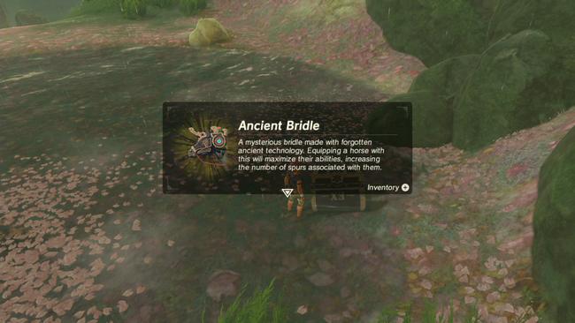 zelda_ancient_bridle.jpg