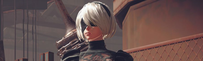 nier_banner.png
