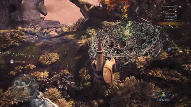 monster_hunter_world_wyvern_eggs.jpg