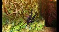 buki_10_img05_l.jpg