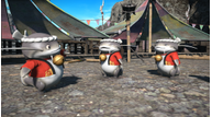 FFXIV_Namazu_Beast_Tribe.png