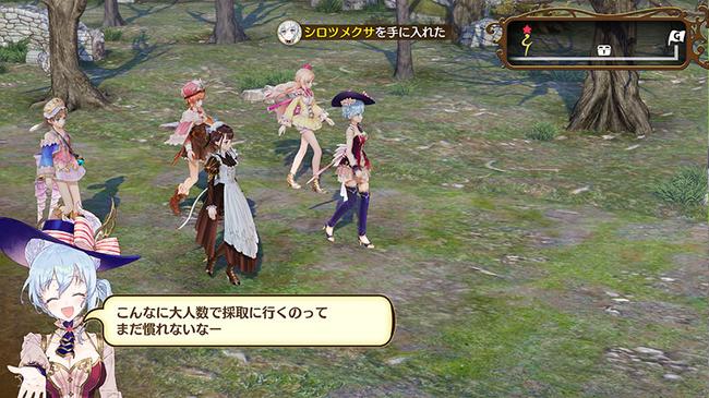 Nelke03_01.jpg
