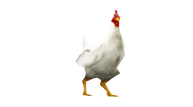 DIA_SwitchPR_Alpha_CuccoPet_TF_005.png