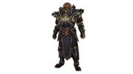 DIA_SwitchPR_Alpha_MaleCrusaderGanandorfTransmog_TF_000.png