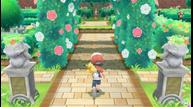 Pokemon-Lets-Go_20180910_18.jpg