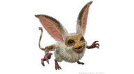 Final-Fantasy-XIV-Shadowbringers_Kobold.png