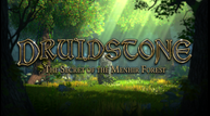 Druidstone_BackgroundLogo.png
