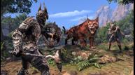The-Elder-Scrolls-Online-Elsweyr_20190115_04.jpg