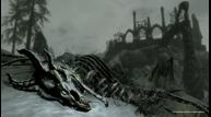 dragonborn_screen_02.jpg