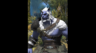 FFXIV_PUB_FANFESTIVAL_2019_TOKYO_67.png