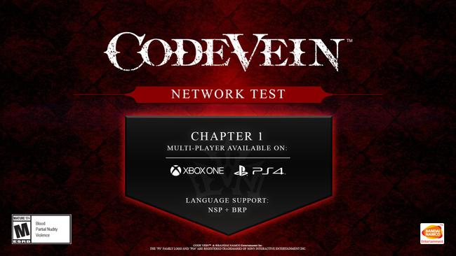 CodeVein_NetworkTest.jpg