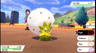 Pokemon_Sword_Shield_Screenshot_20190605_14.jpg