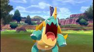 Pokemon_Sword_Shield_Screenshot_20190605_18.jpg